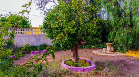 Foto 3 de Finca rústica en venta en La Pinilla - Las Palas, Murcia