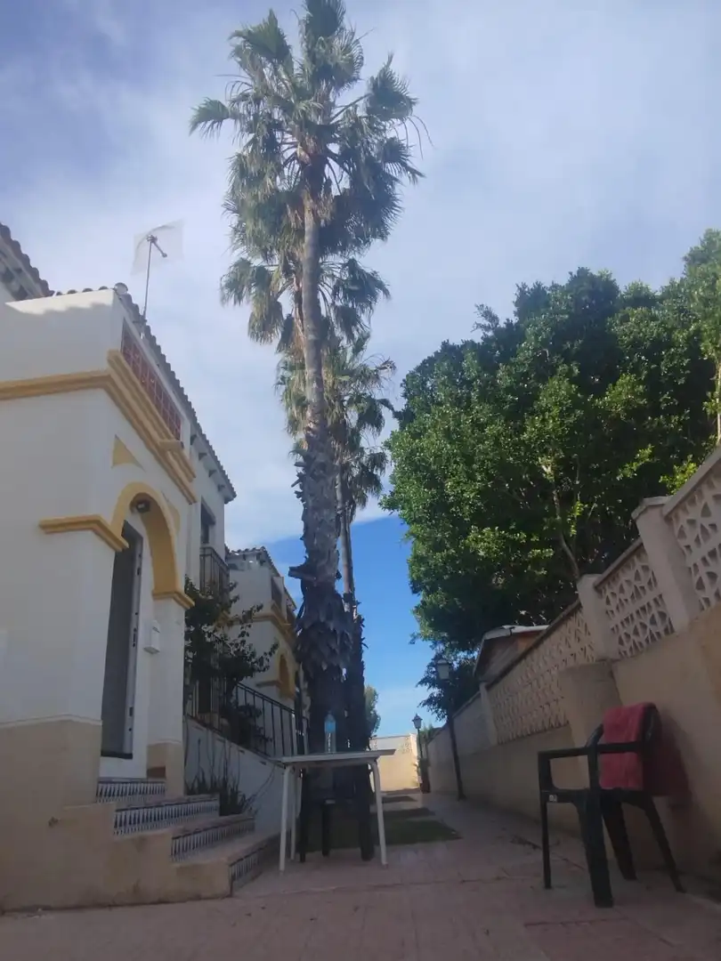 Bungalow for sale in San Miguel de Salinas, imagen 4