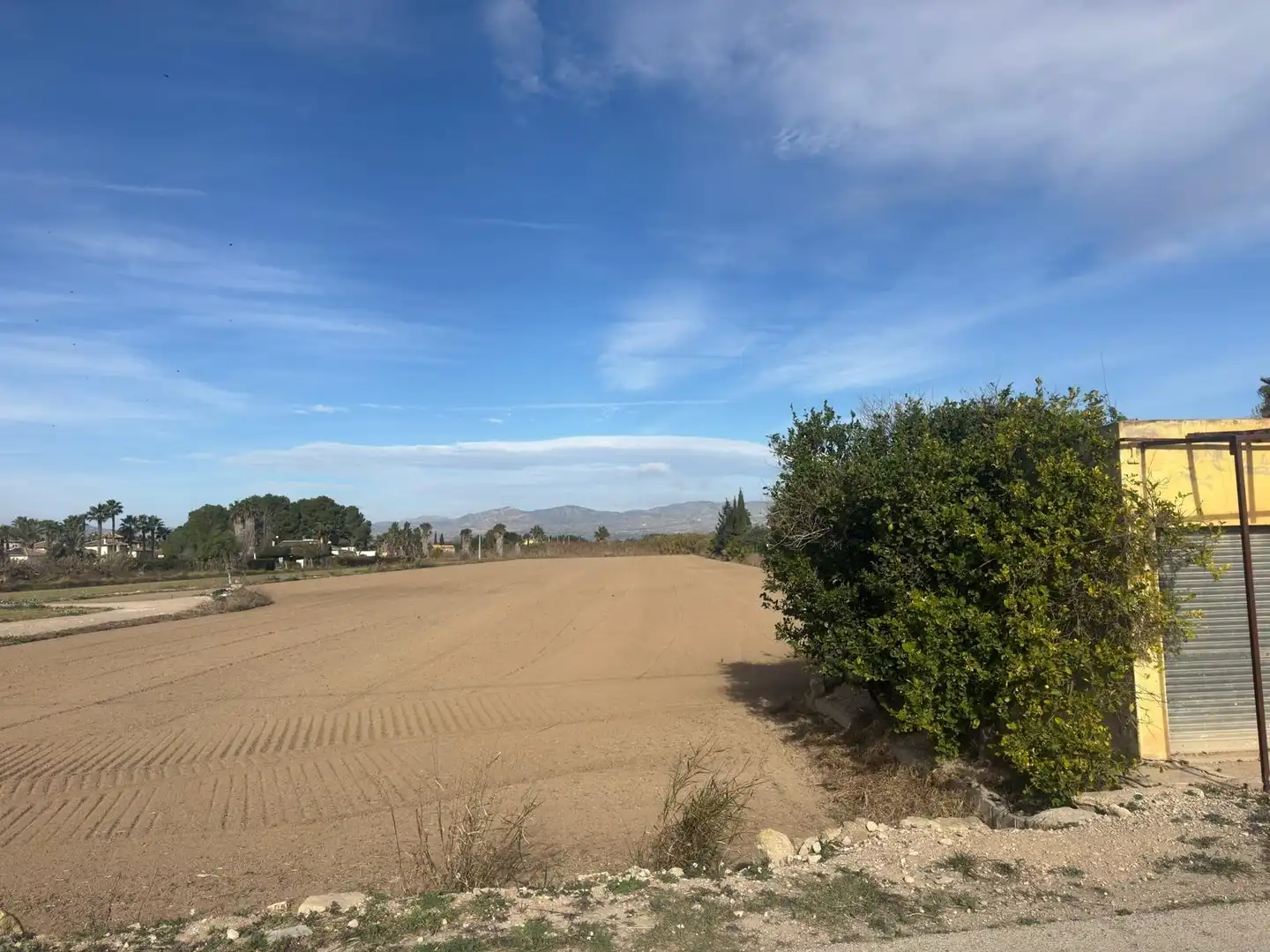 Rural land for sale in Catral, imagen 11