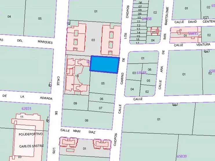 Terreny residencial en venda a Calle del Camino de los Chopos 23P, imagen 9