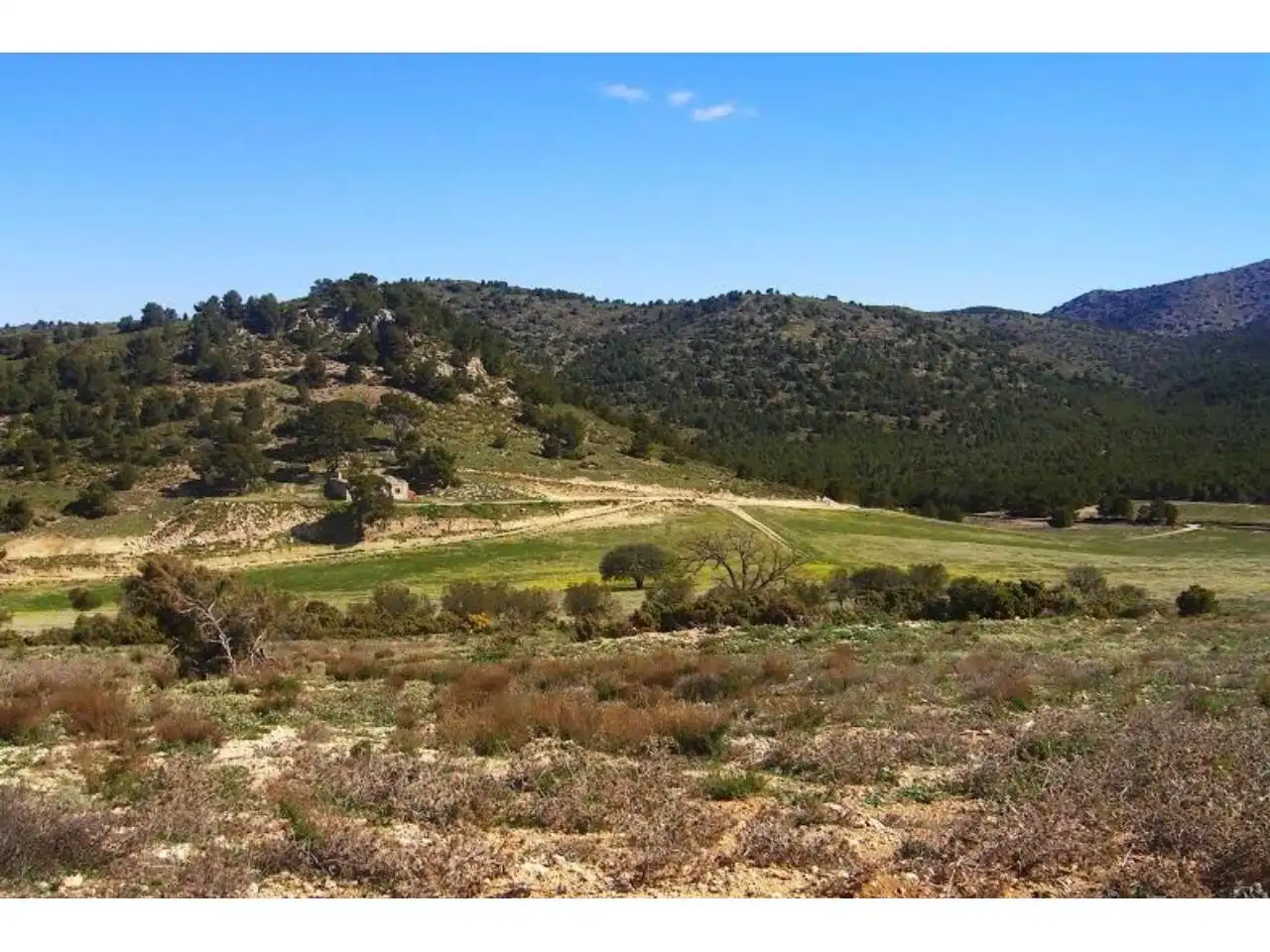 Terrains et parcelles à vendre à Pedanías Norte, imagen 2
