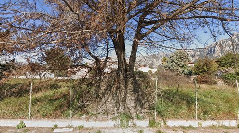 Immagine 2 dell'annuncio