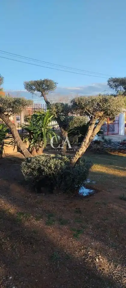 Casa amb jardí en venda a La Mina, imagen 2