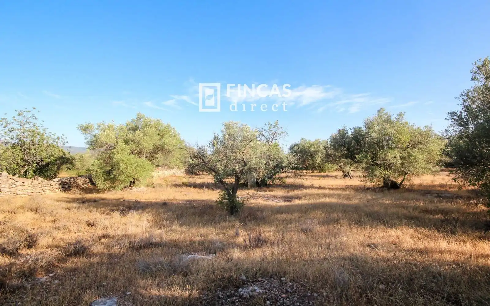 Country homes for sale in Xerta