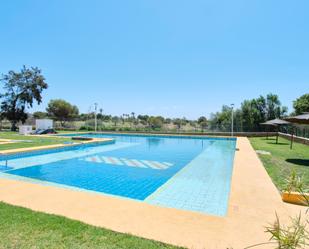 Swimming pool of Flat for sale in  Almería Capital  with Air Conditioner