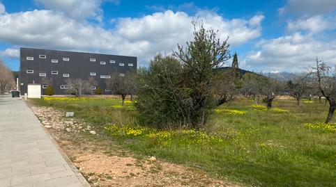Photo 4 of Industrial land for sale in N/a, 1, Establiments, Illes Balears