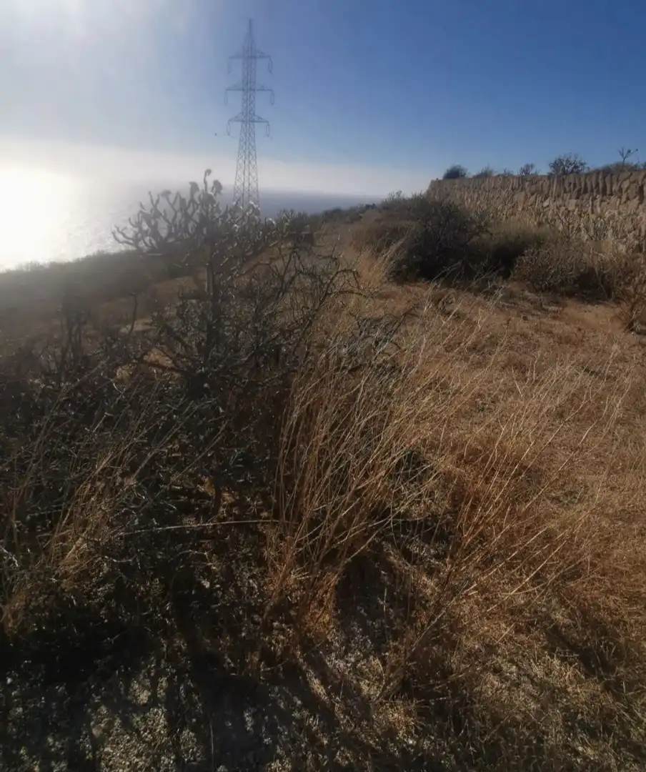Rural land for sale in TF-28, imagen 5