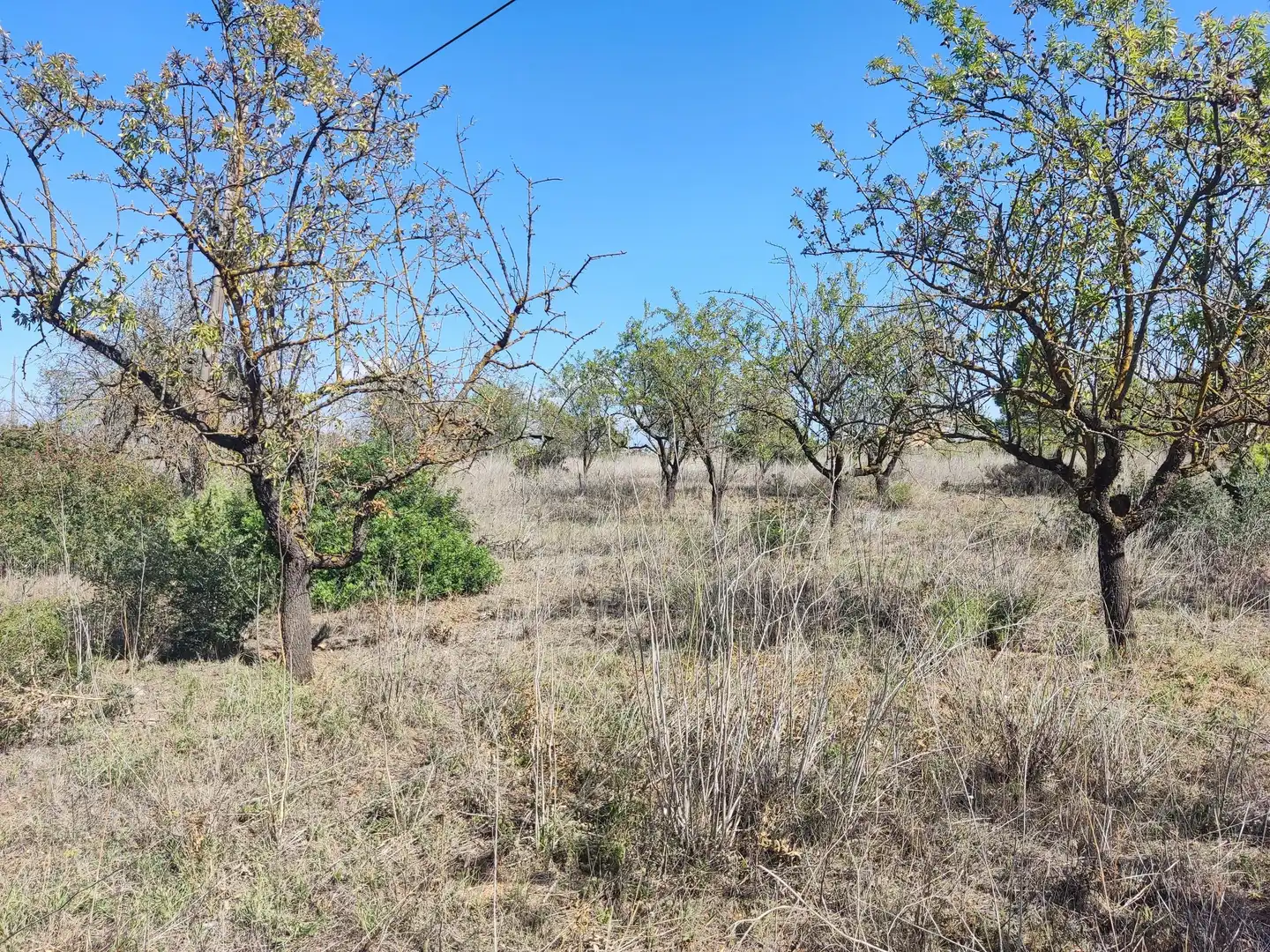 Rural land for sale in Horta de Sant Joan, imagen 8