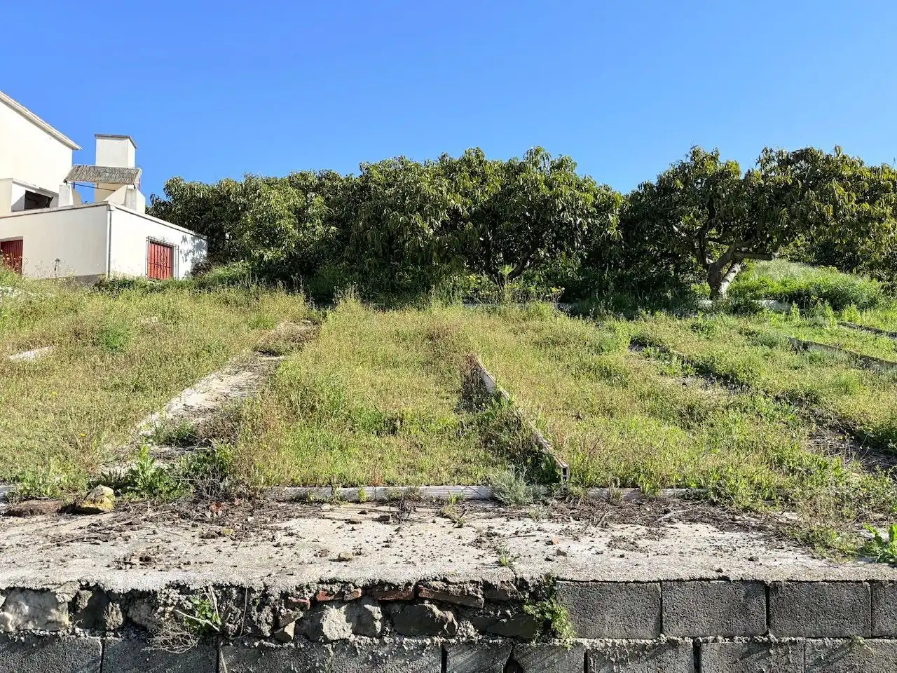 Land for sale in Canillas de Albaida
