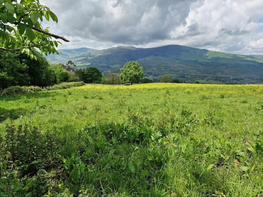 Residential for sale in SILIO-DISEMINADO, 885, Molledo