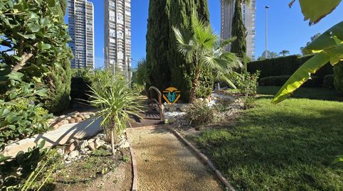 Photo 4 of Apartments for sale in Via Parque, Benidorm