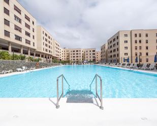 Swimming pool of Flat to rent in Las Palmas de Gran Canaria