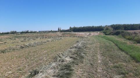Photo 5 of Land for sale in San Gregorio, Zaragoza