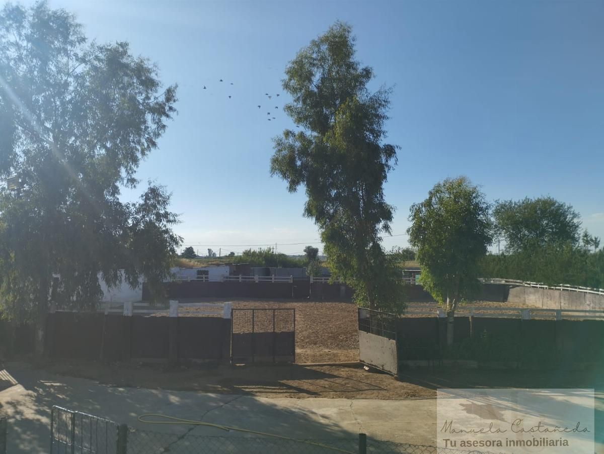Finca rústica en venda en Mérida