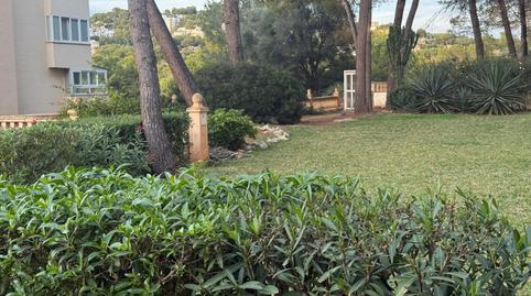 Photo 3 of Flat for sale in Costa de la Calma, Illes Balears