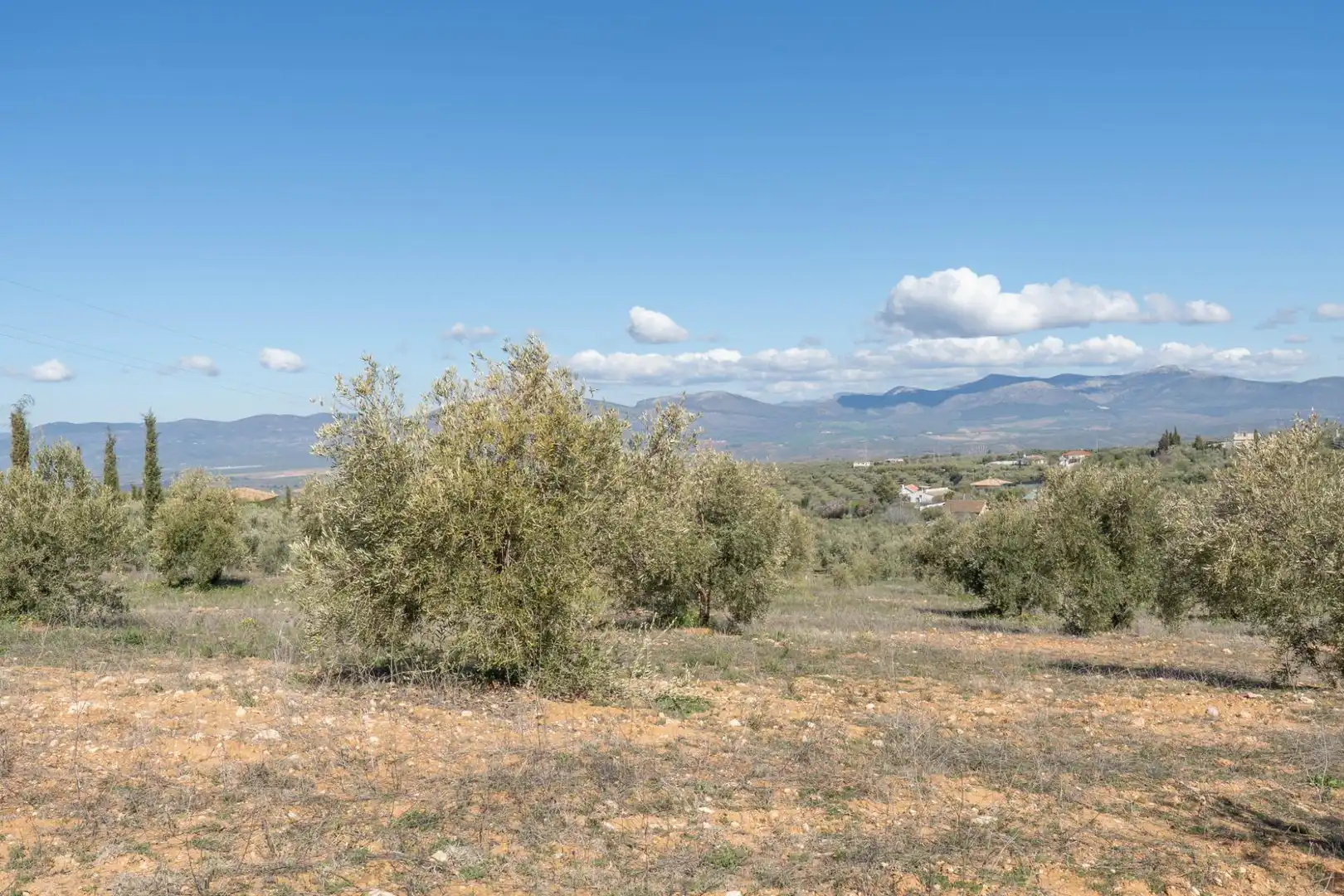 Terreni e lotti in vendita a Cogollos de la Vega, imagen 14