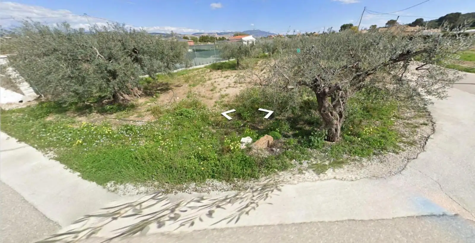 Lands and plots for sale in Pliego, imagen 3