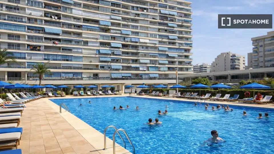 Habitació a Alicante / Alacant, Alicante