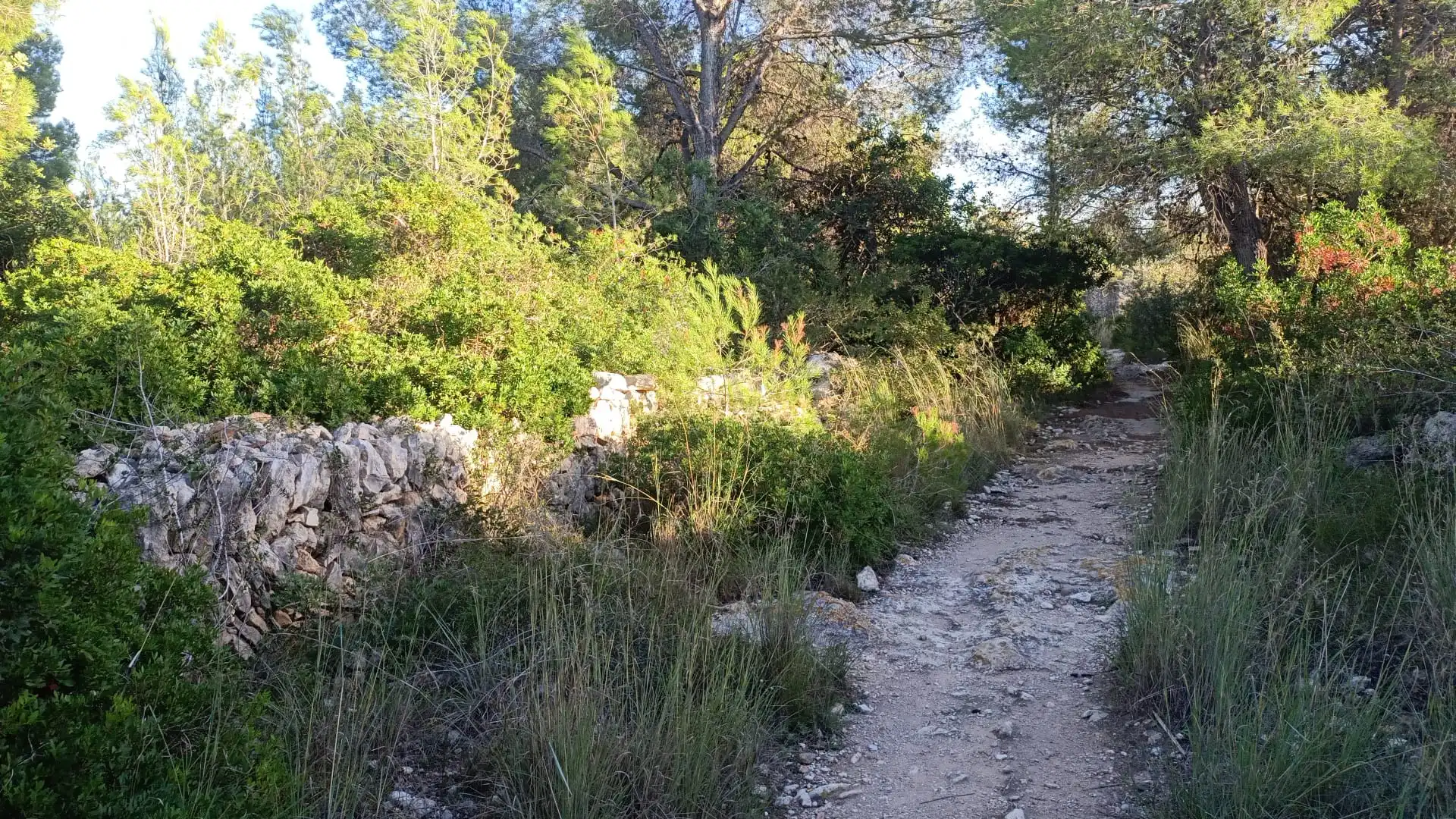 Terreno en venta en El Vendrell