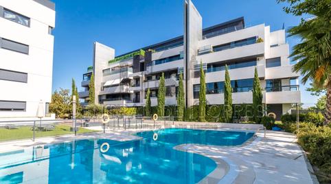 Foto 3 de Àtic de lloguer a Valdepastores - Las Encinas, Madrid