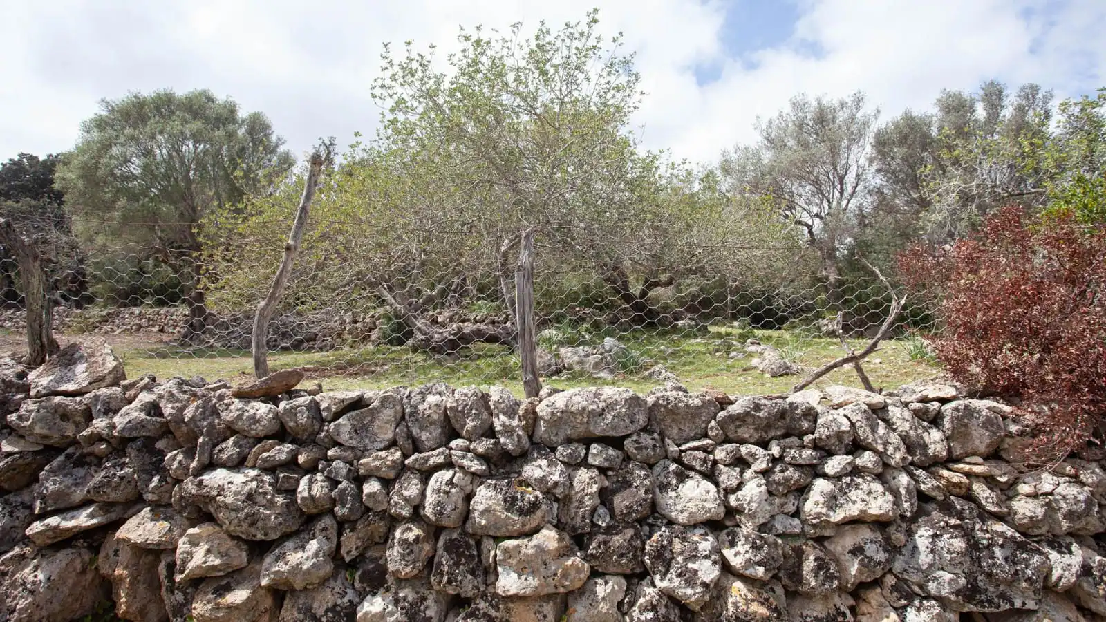 Casa rústica amb jardí en venda a Pollença Poble, imagen 25