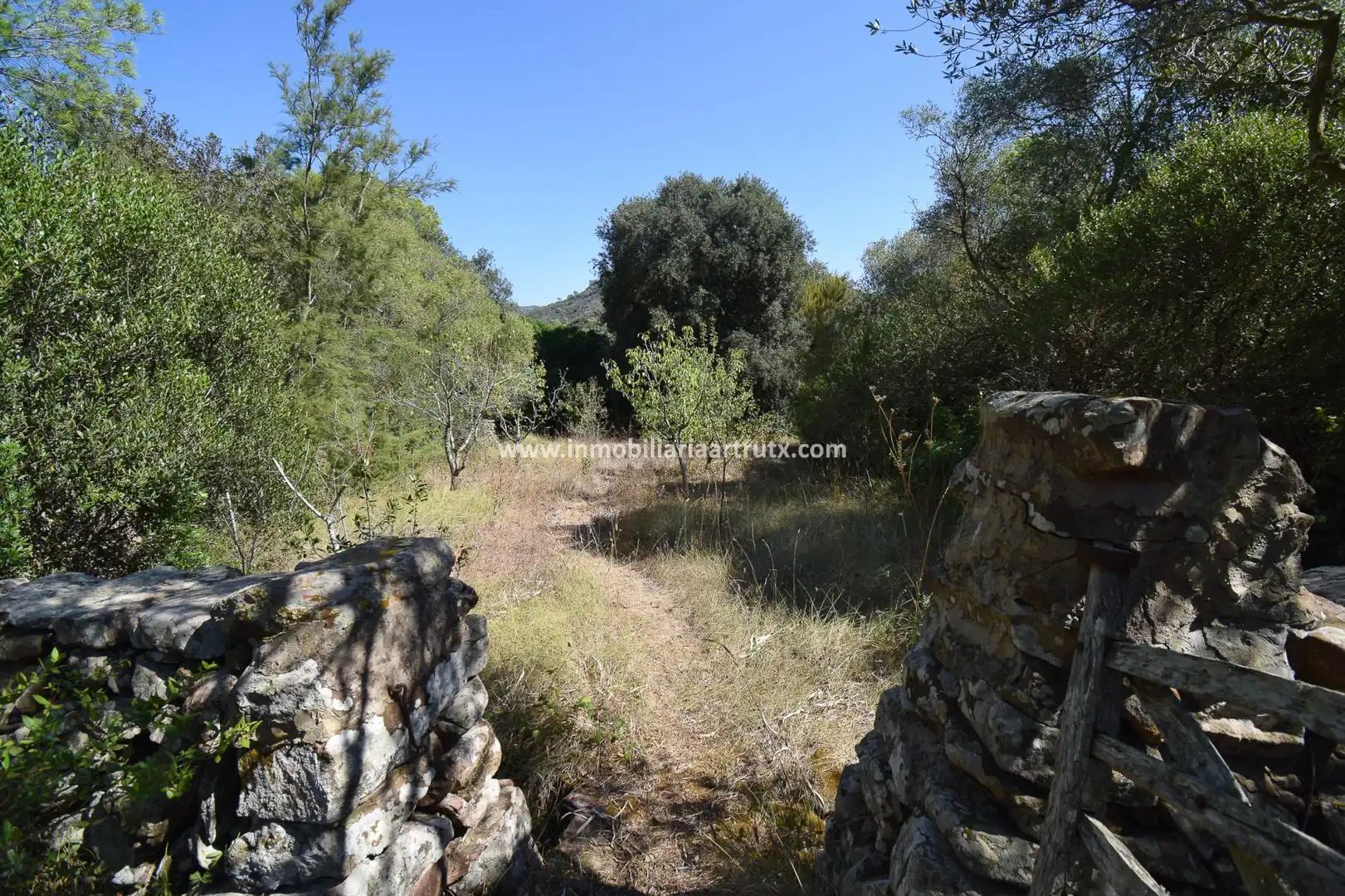 Finca rústica en venta en Ferreries con Jardín privado y Trastero