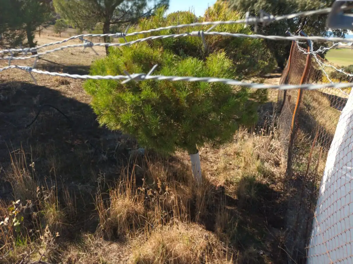 Jardín de Finca rústica en venta en Brunete