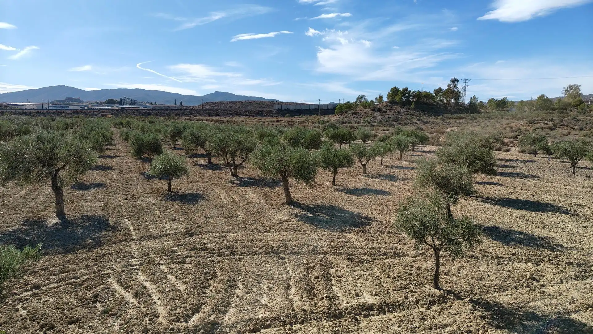 Terreno rustico in vendita a Campo Alto - Club de Campo, imagen 4