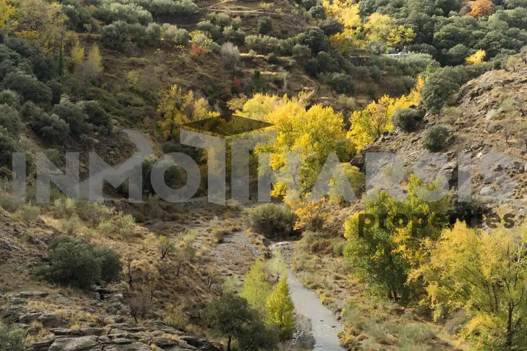 Vista exterior de Casa o xalet en venda en Abrucena amb Jardí privat, Terrassa i Moblat