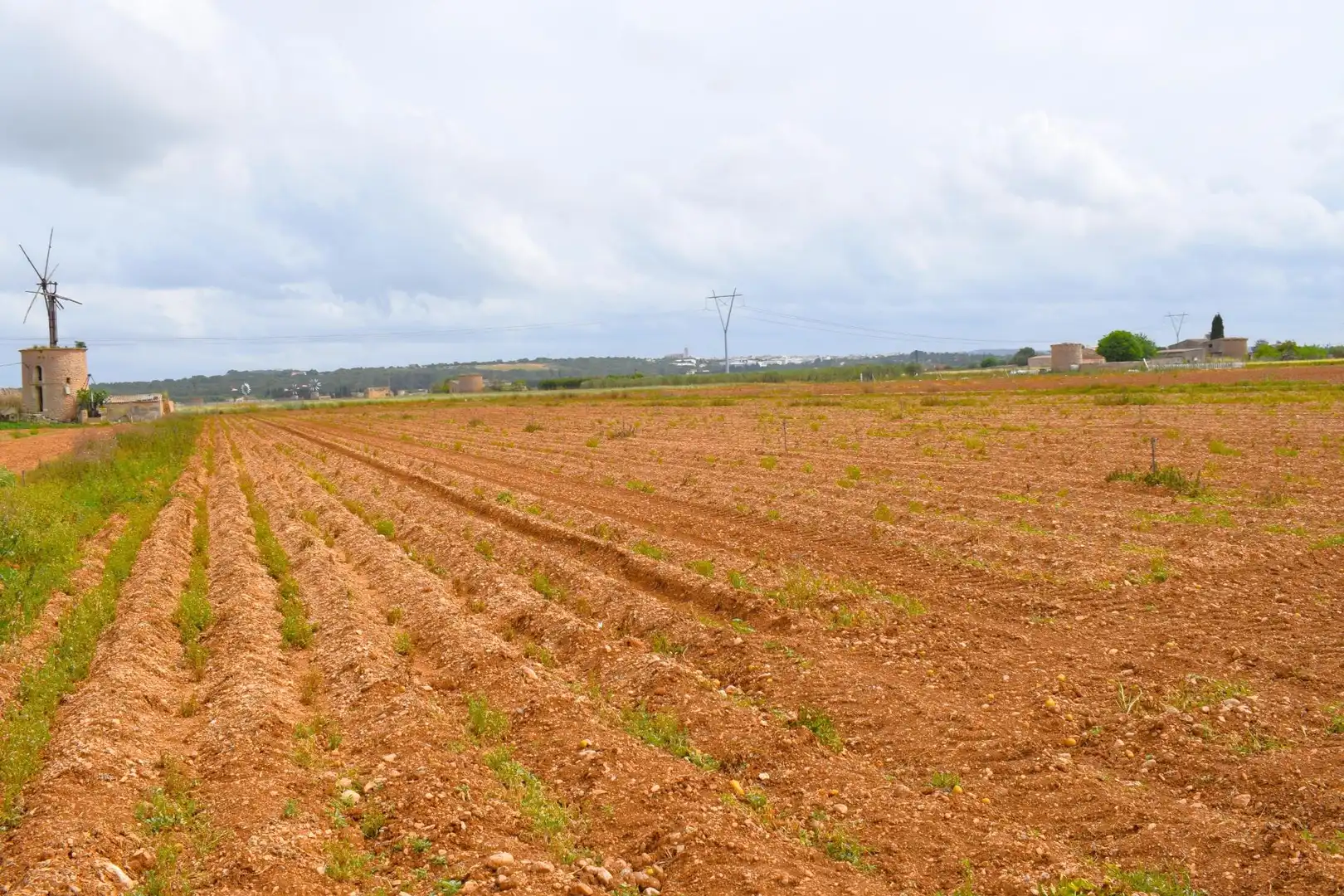 Finca rústica en venta en Sa Pobla con Jardín privado