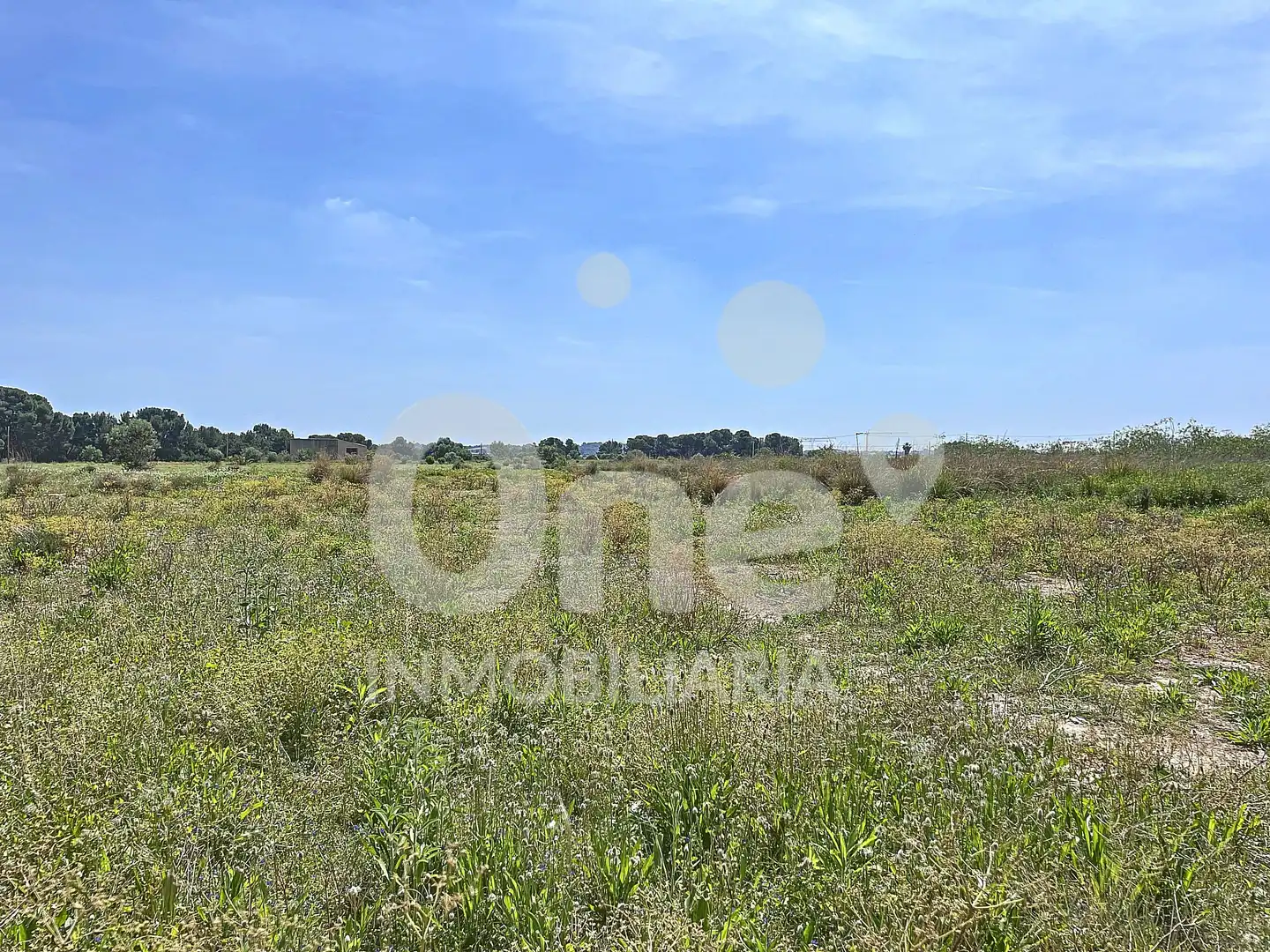 Residential land for sale in La Conarda - Montesano, imagen 4