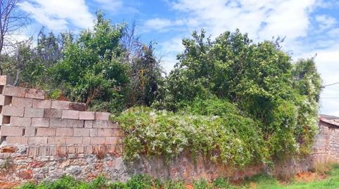 Photo 2 of House or chalet for sale in Villadiego, Burgos