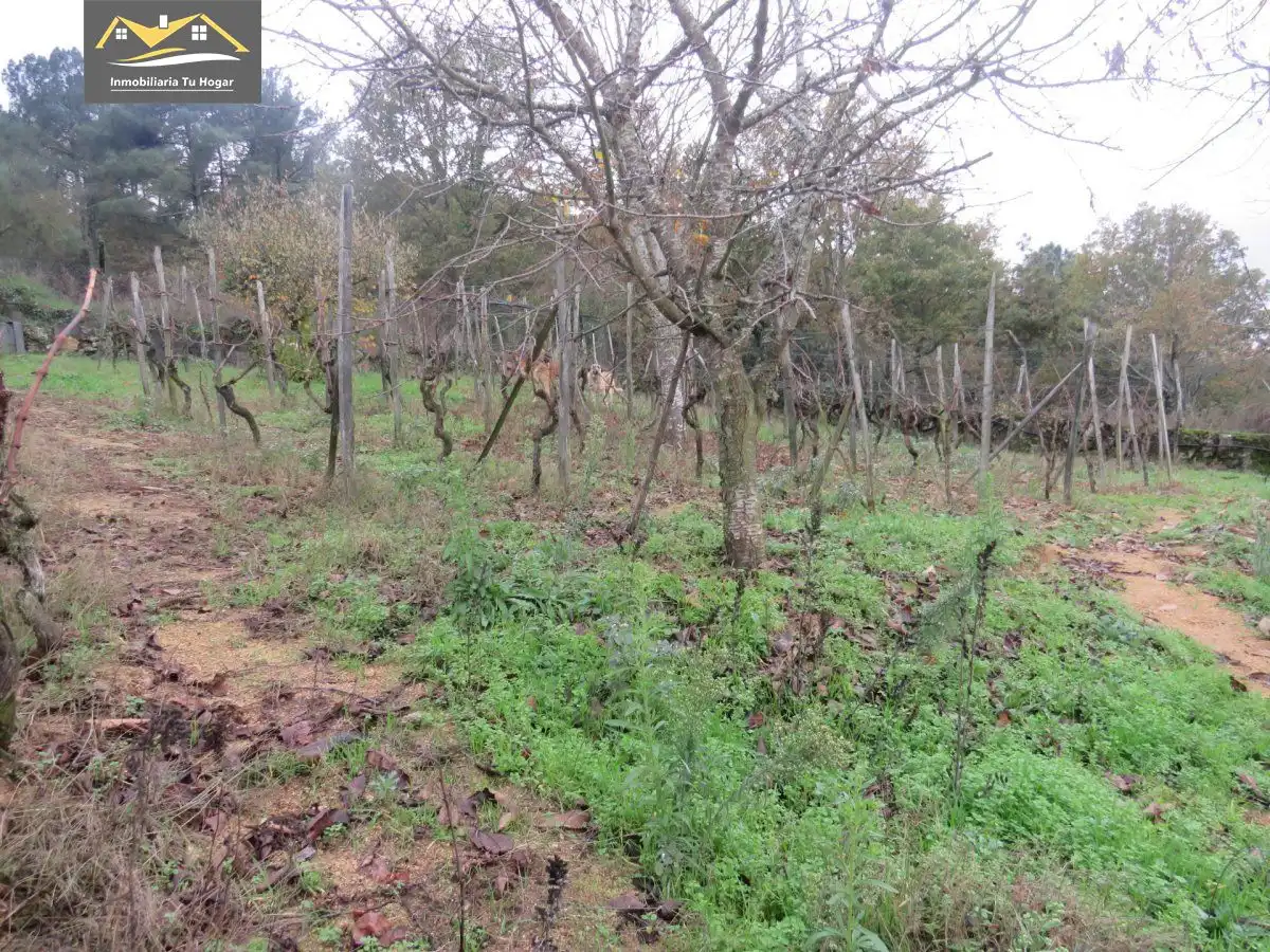 House with terrace for sale in O Pereiro de Aguiar, imagen 30