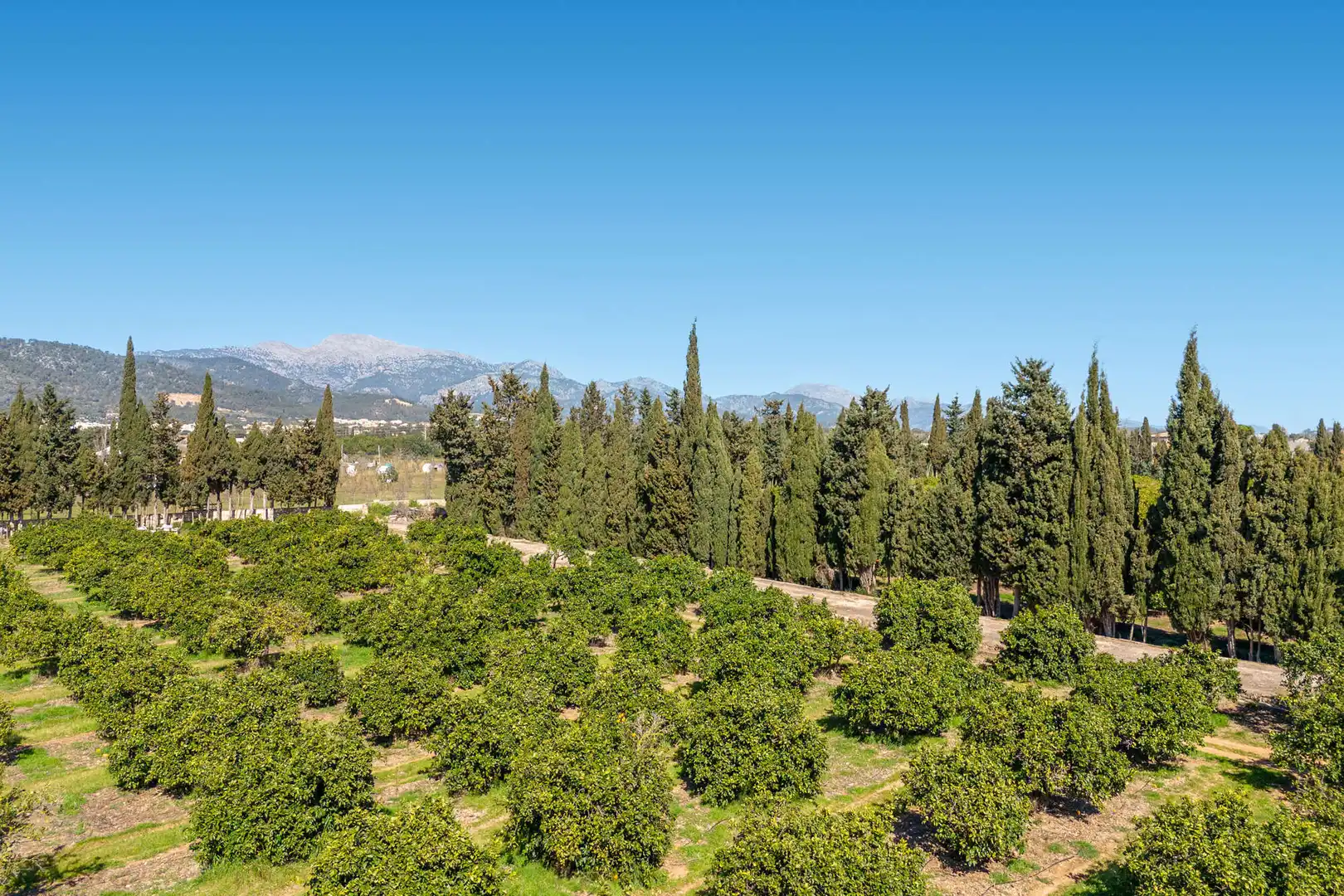 Finca rústica en venda en Lloseta amb Aire condicionat, Calefacció i Parquet