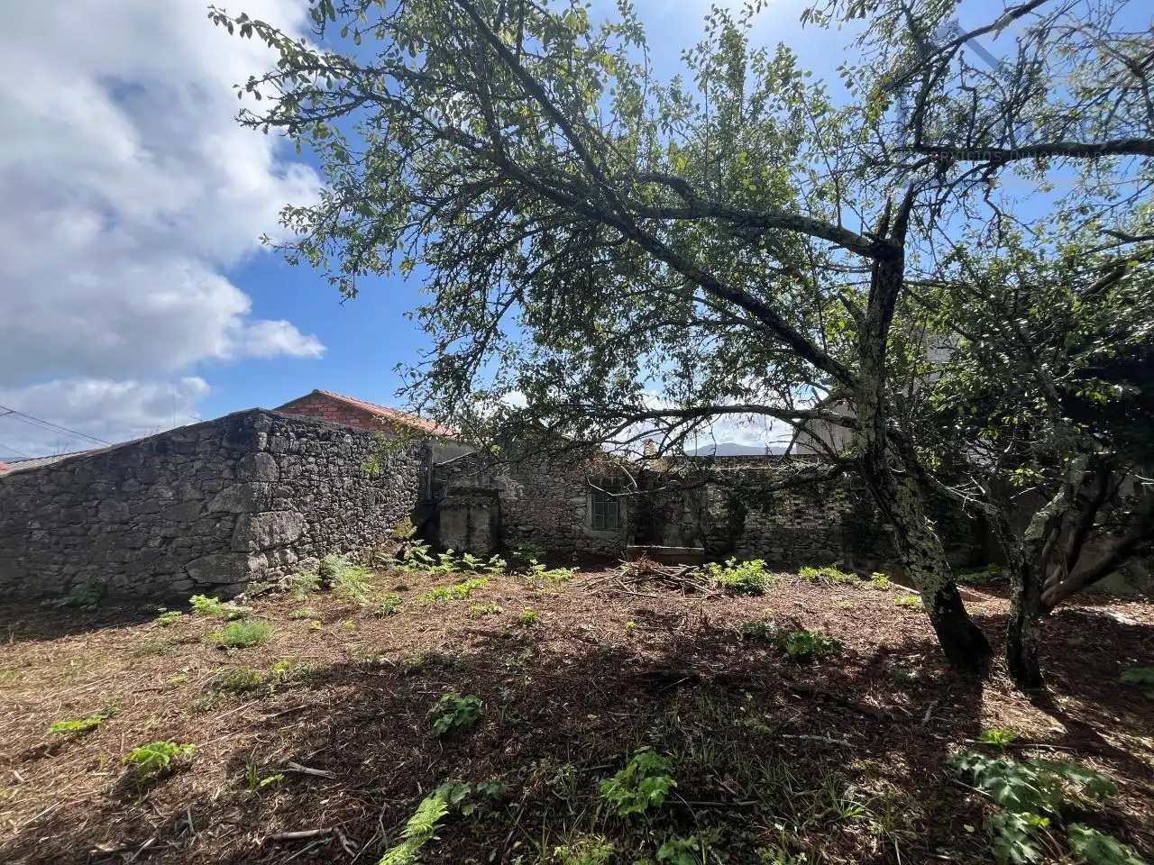 Residential land for sale in A Guarda, imagen 17