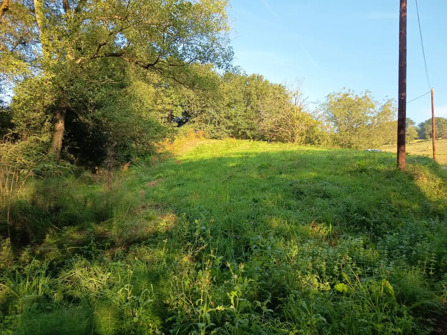 Rural land for sale in Lugar el Ponton, imagen 3