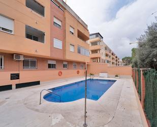 Swimming pool of Flat for sale in Estepona  with Air Conditioner, Swimming Pool and Community pool