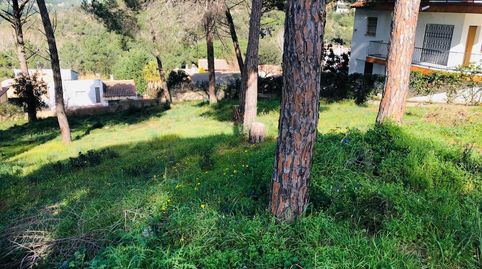 Photo 5 of Residential for sale in Mas Mora - Sant Daniel, Tordera