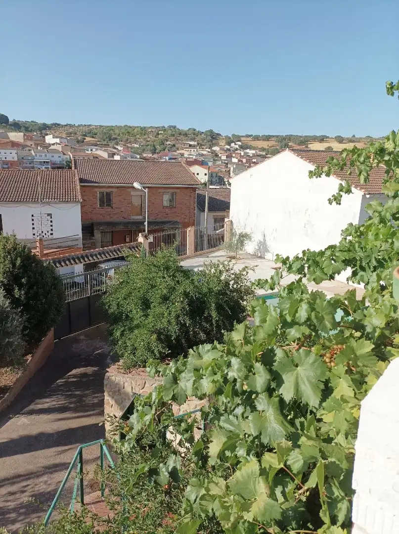 Xalet amb terrassa en venda a Horcajo de los Montes, imagen 28
