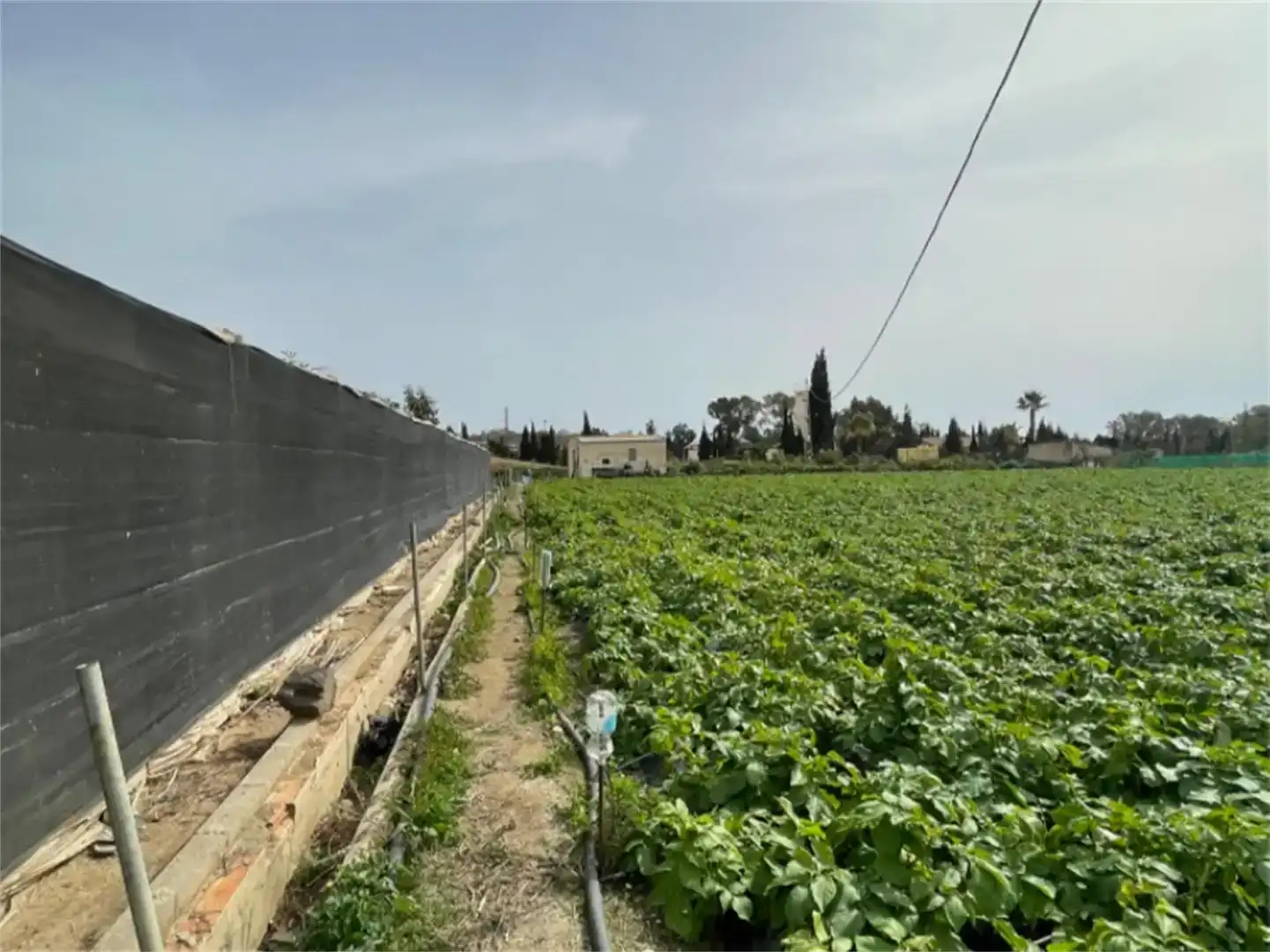 Finca rústica en venda en Algarrobo