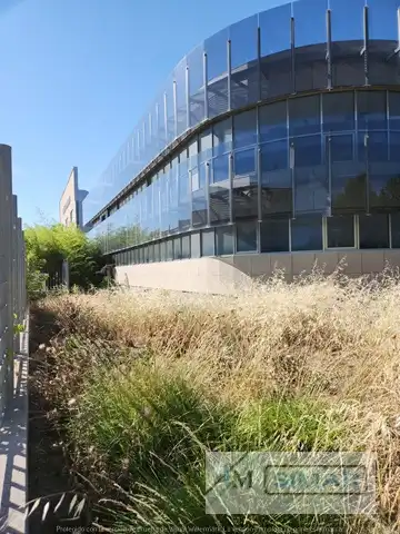 Außenansicht von Fabrikhallen zum Verkauf in Torrijos