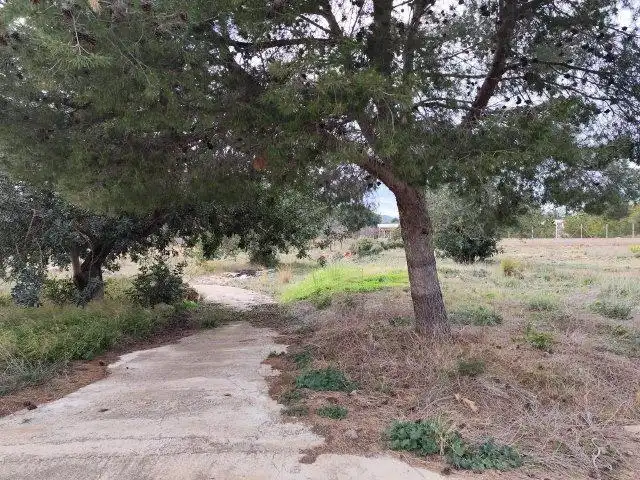 Finca rústica en venta en Cheste