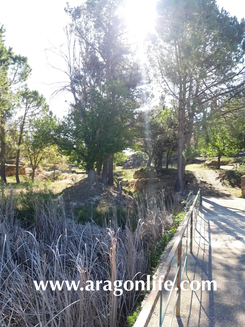 Vista exterior de Finca rústica en venta en Calaceite
