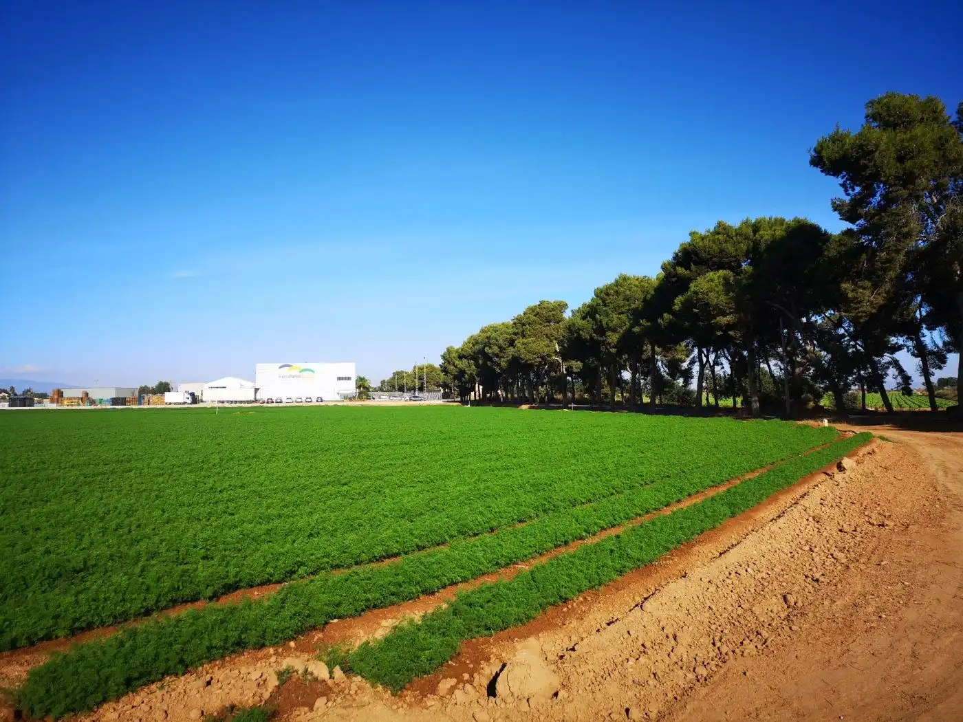 Vista exterior de Finca rústica en venta en Cartagena
