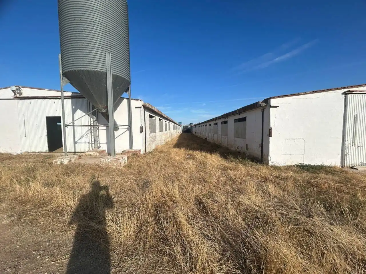 Vista exterior de Nave industrial en venta en Polán