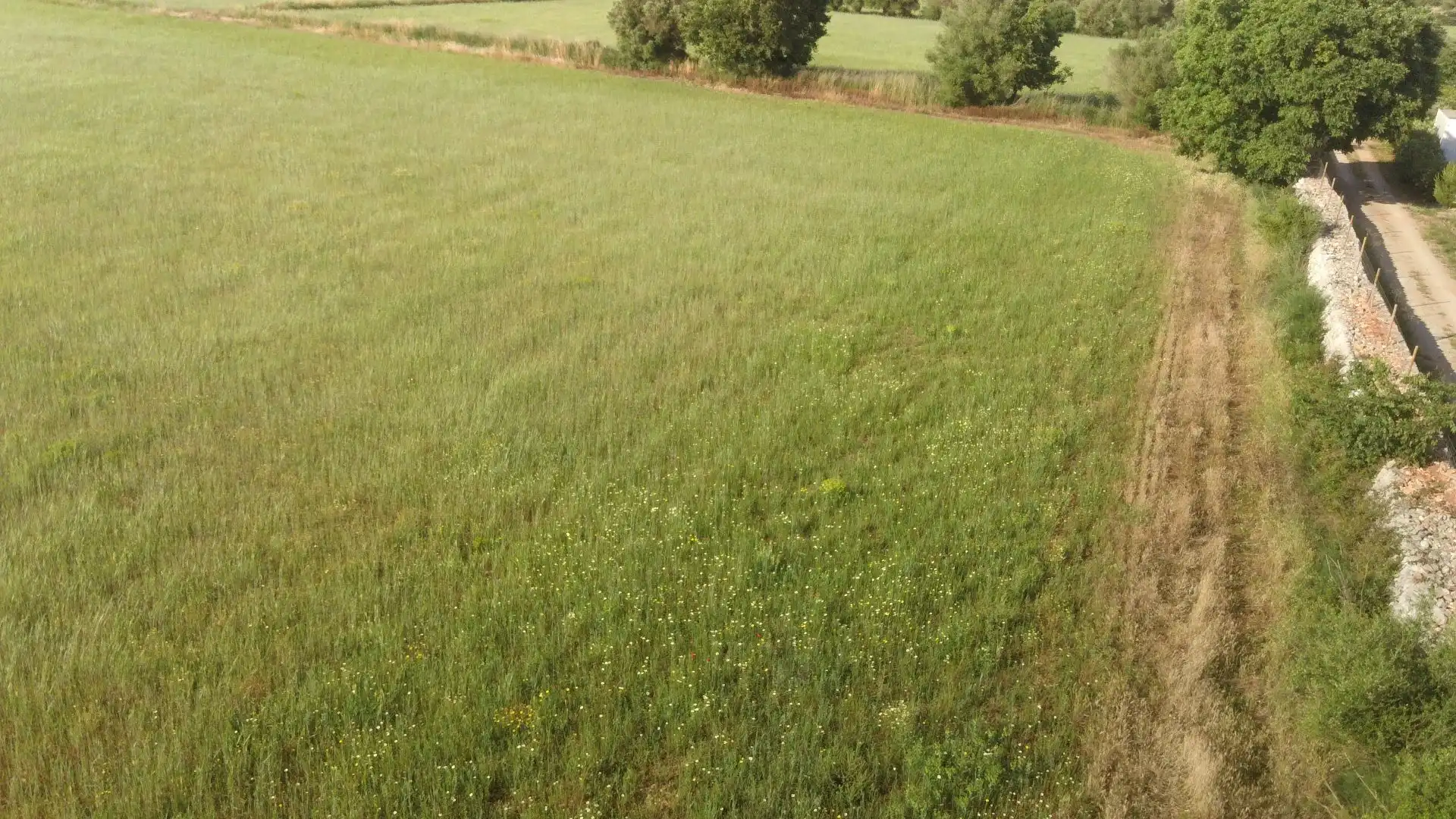 Terrenys i solars en venda a son valls, imagen 3