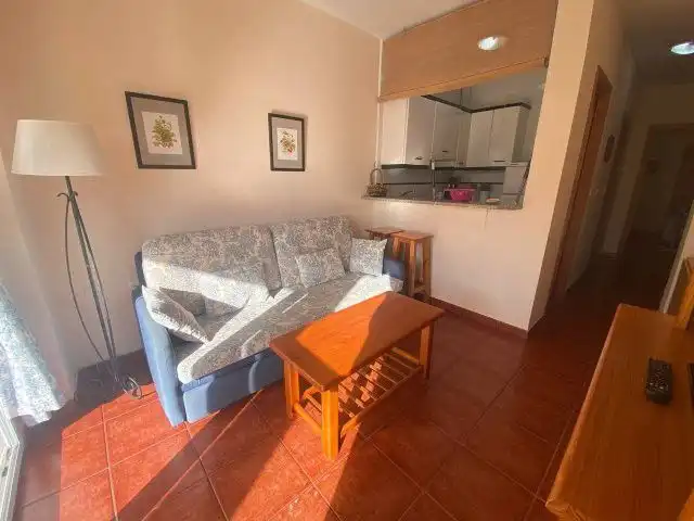 Sala d'estar de Apartament en venda en La Antilla amb Terrassa, Traster i Moblat