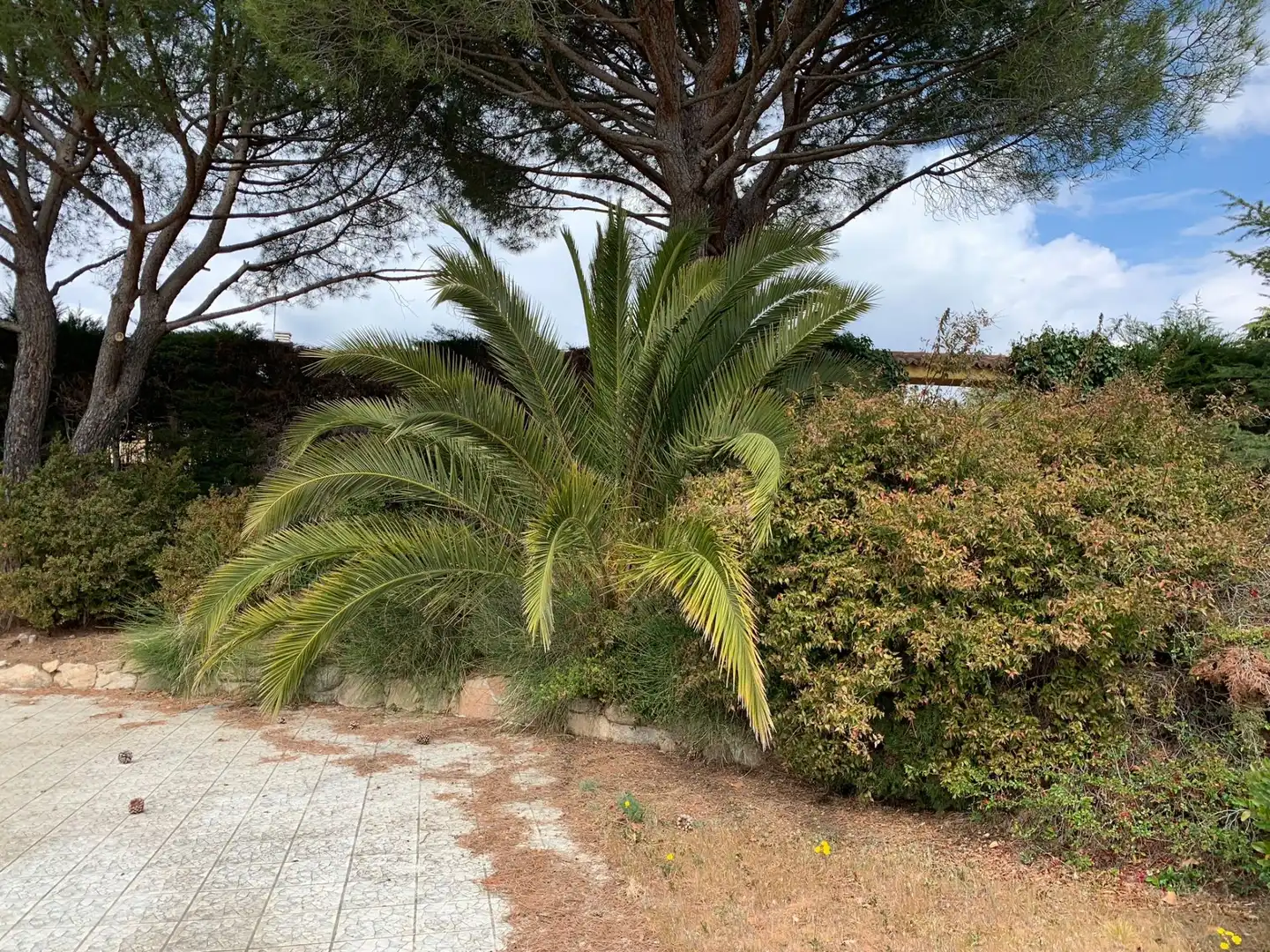 Casa amb piscina en venda a Colmenarejo, imagen 22