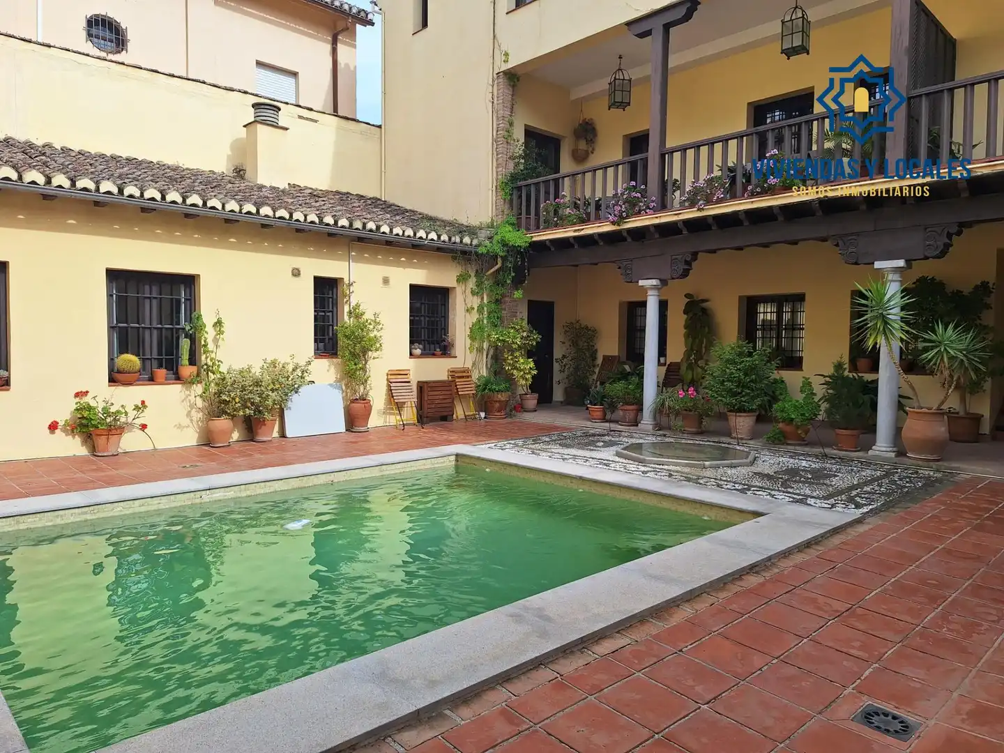 Swimming pool of Duplexes for rent in Granada