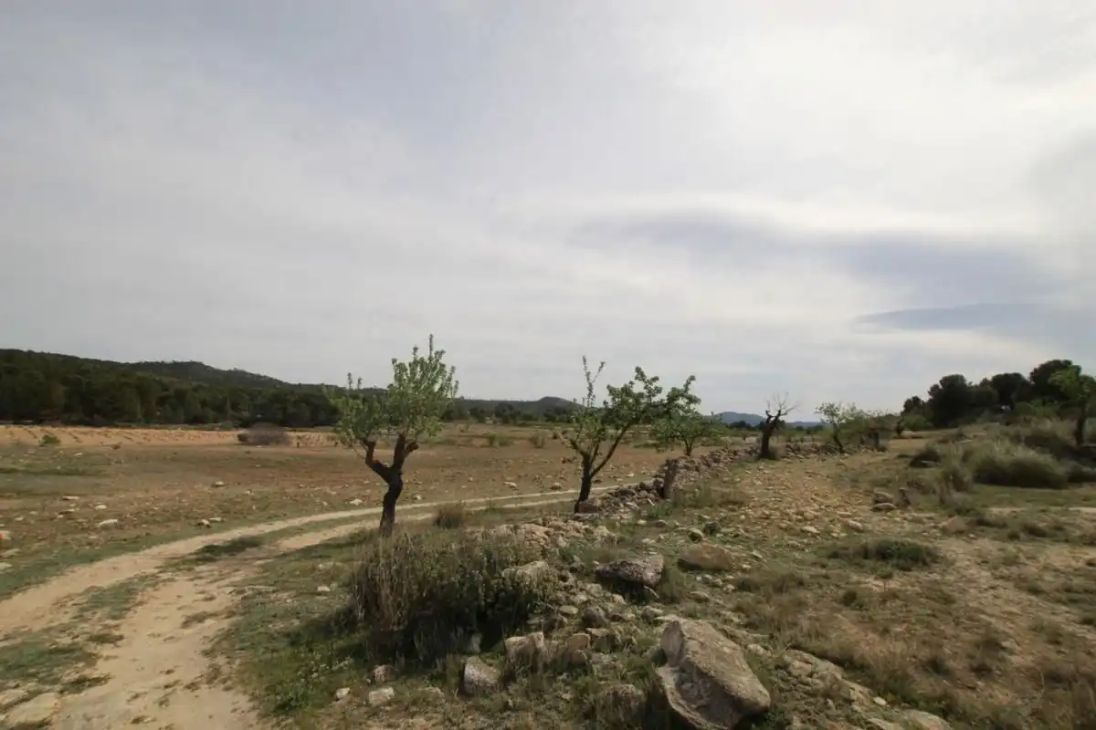 Detached house for sale in Monóvar  / Monòver, imagen 24